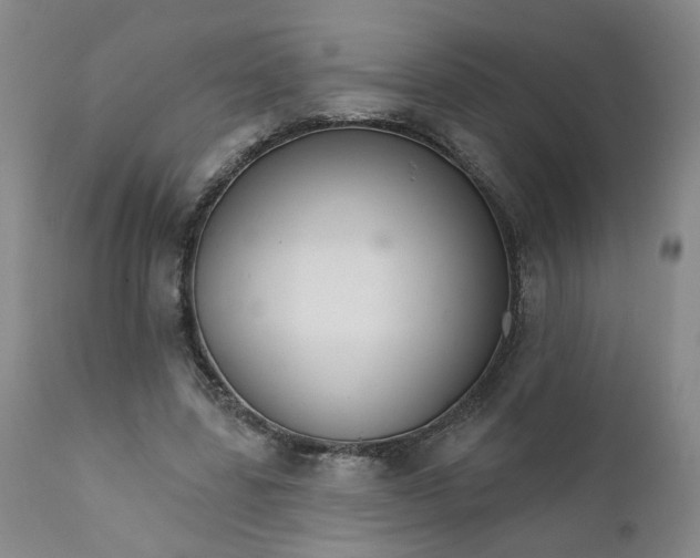 X0000112430539200909041438