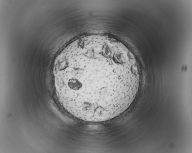 X0000112430541200909041438