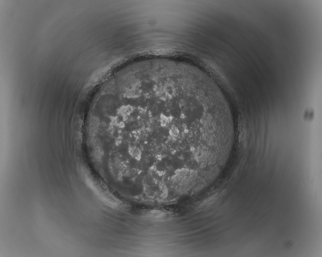 X0000112430542200909041438