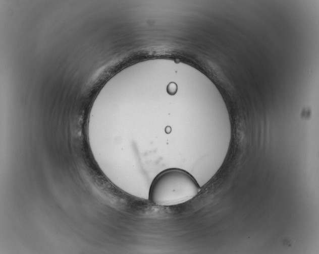 X0000112430543200909041438