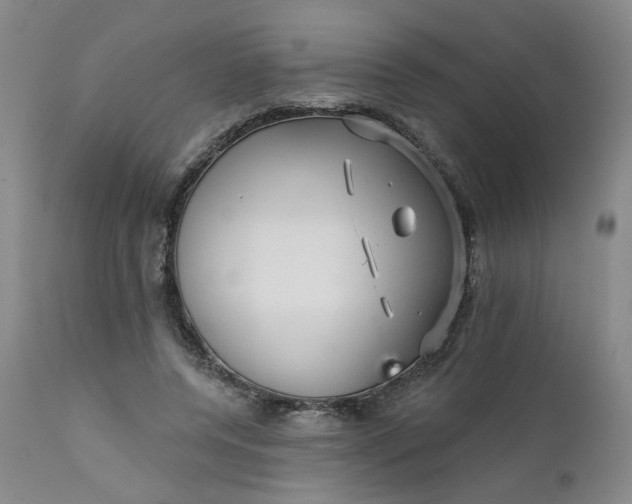 X0000112430544200909041438