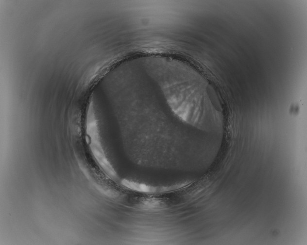 X0000112430547200909041438