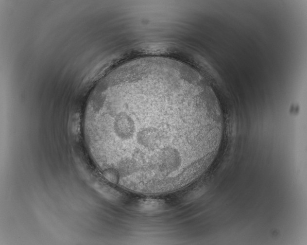 X0000112430549200909041438