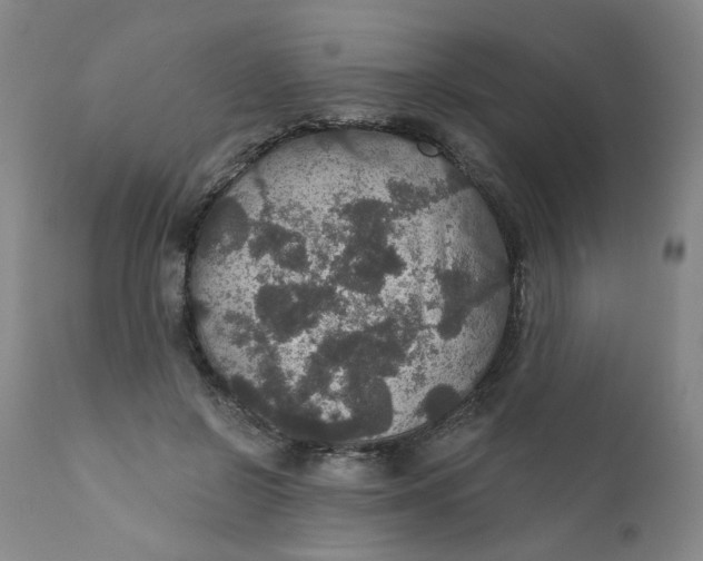 X0000112430550200909041438