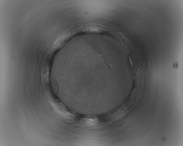 X0000112430552200909041438