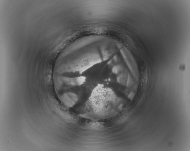 X0000112430553200909041438