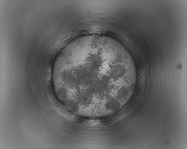 X0000112430554200909041438