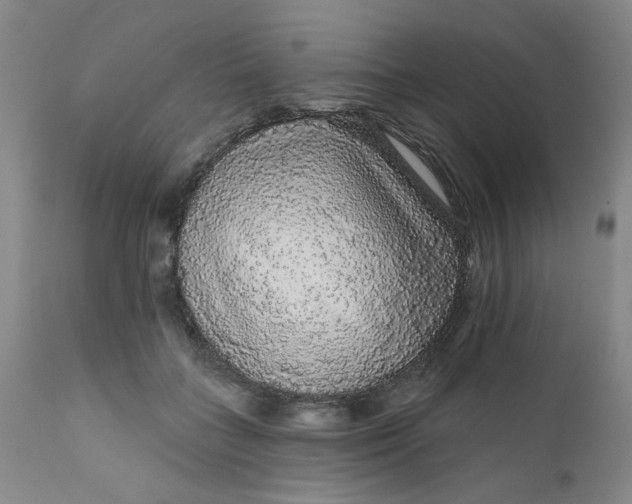 X0000112430555200909041438