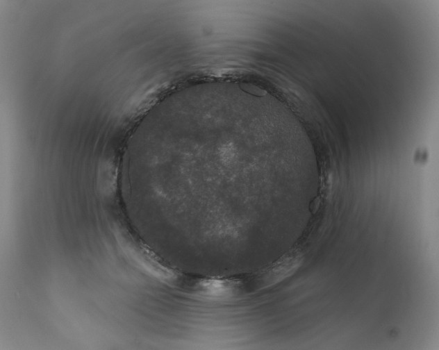 X0000112430558200909041439