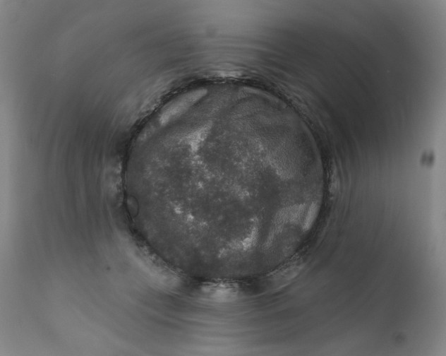 X0000112430559200909041439
