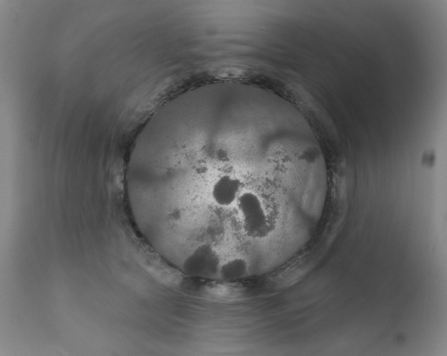 X0000112430561200909041439
