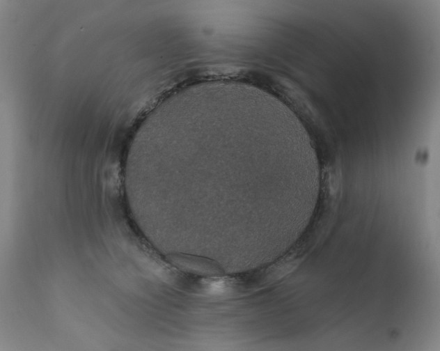X0000112430564200909041439