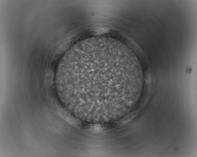 X0000112430565200909041439