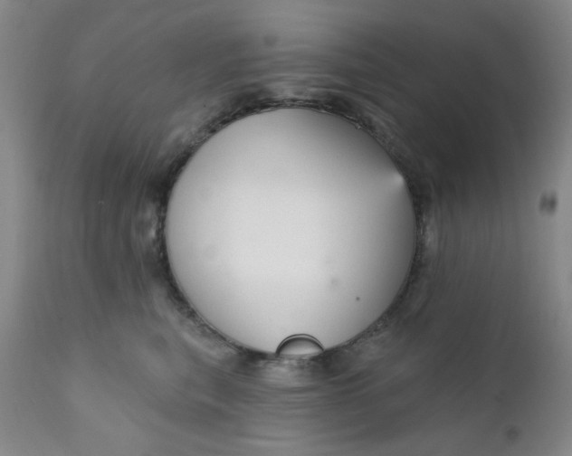 X0000112430567200909041439