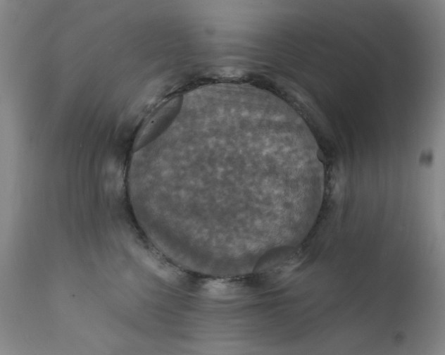 X0000112430568200909041439
