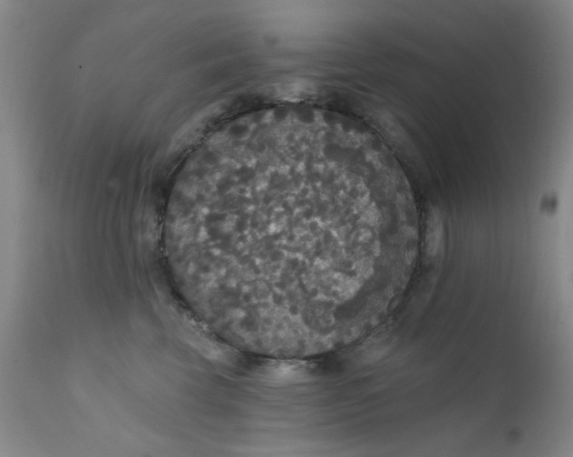 X0000112430569200909041439