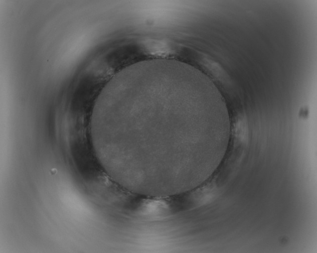 X0000112430572200909041439