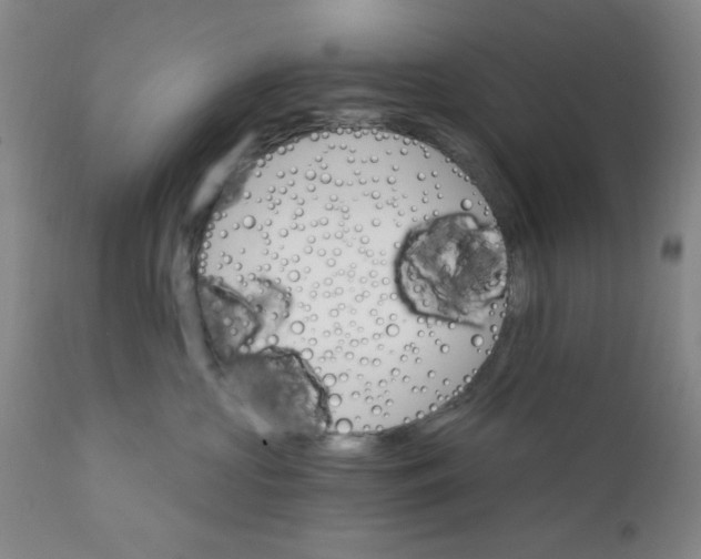 X0000112430573200909041439