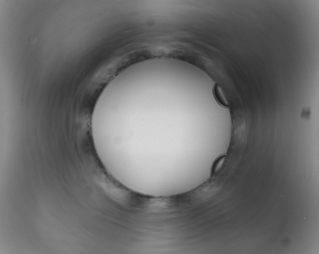 X0000112430574200909041439