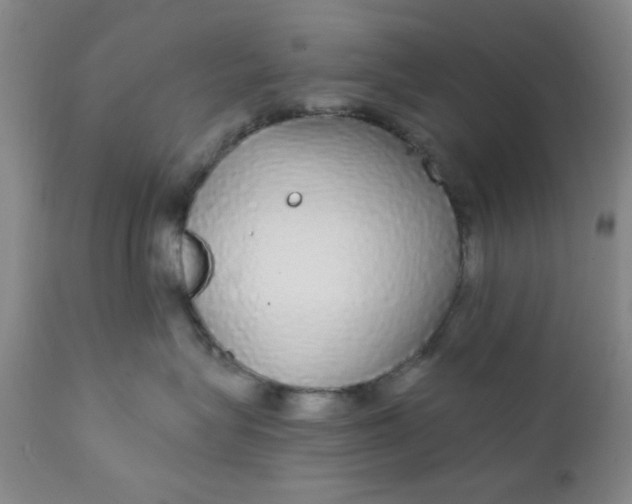 X0000112430575200909041439
