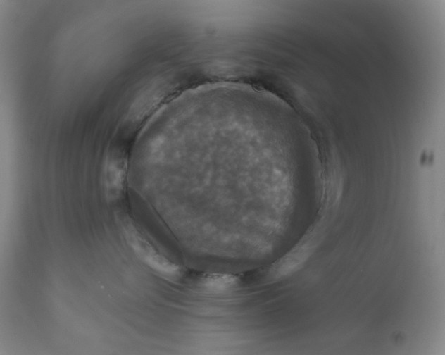 X0000112430576200909041439