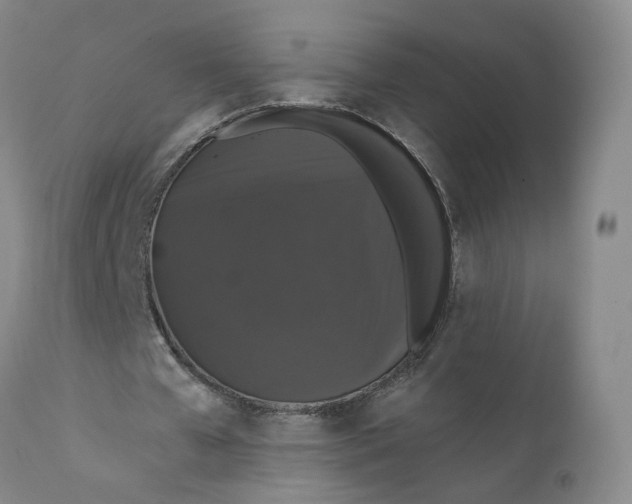 X0000112430577200909041438