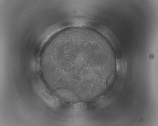 X0000112430579200909041438