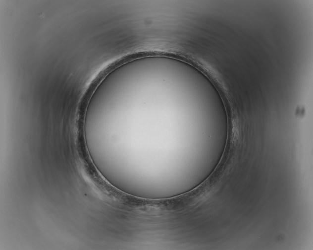 X0000112430580200909041438