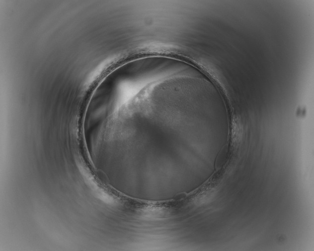 X0000112430581200909041438