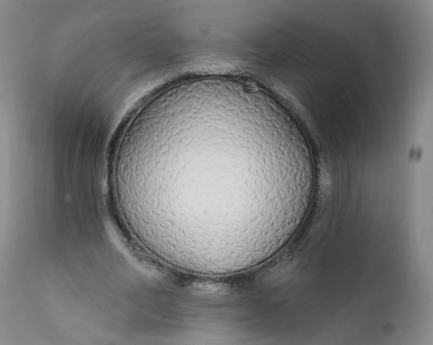 X0000112430582200909041438