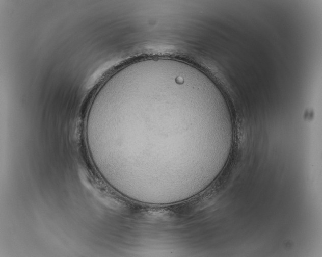 X0000112430583200909041438