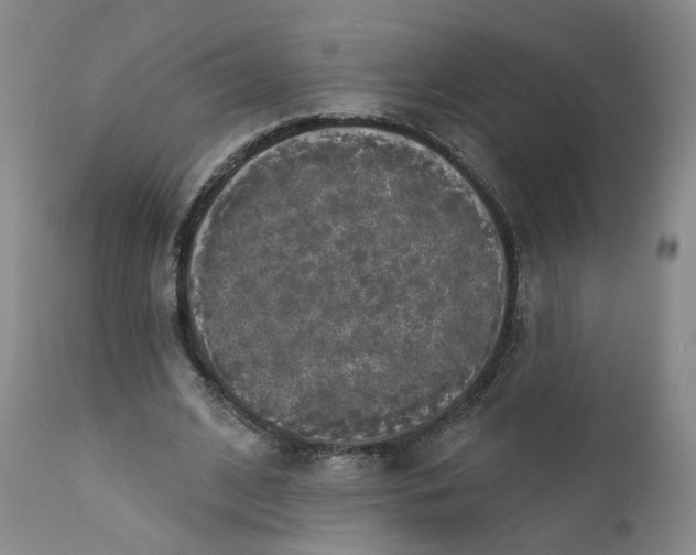 X0000112430584200909041438