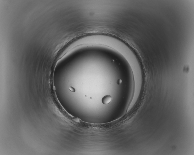 X0000112430585200909041438