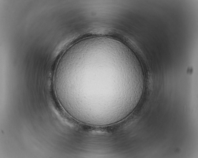 X0000112430586200909041438