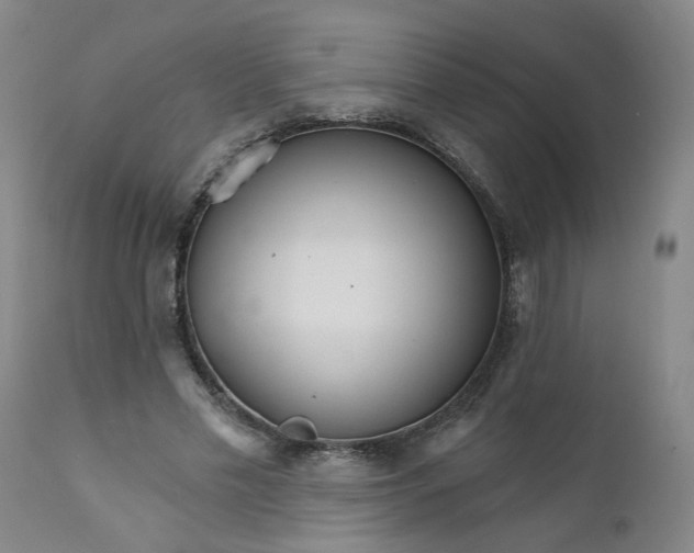 X0000112430589200909041438