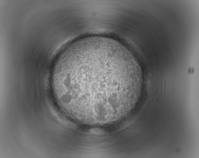 X0000112430591200909041438