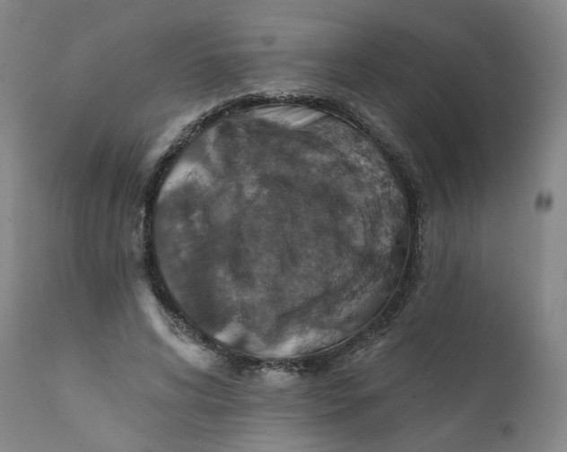 X0000112430592200909041438