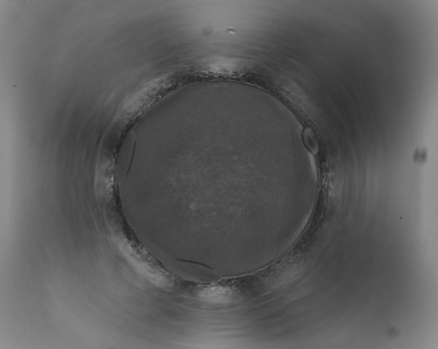 X0000112430593200909041438