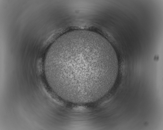 X0000112430594200909041438