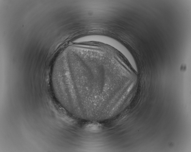 X0000112430595200909041438