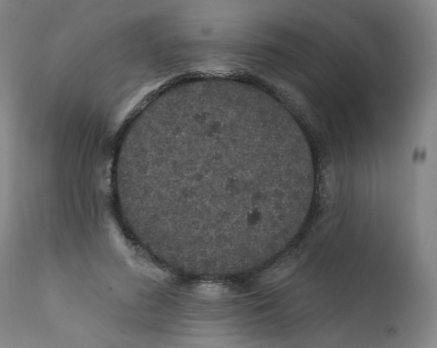 X0000112430596200909041438