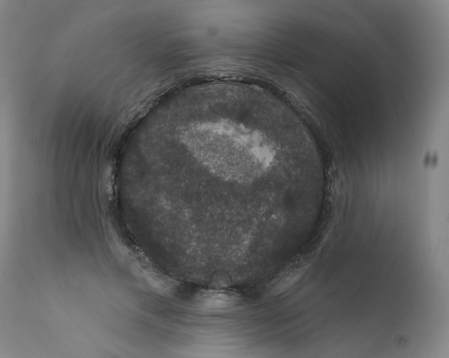 X0000112430597200909041438