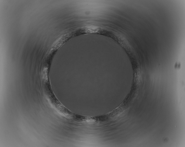 X0000112430598200909041438