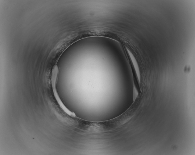 X0000112430599200909041438