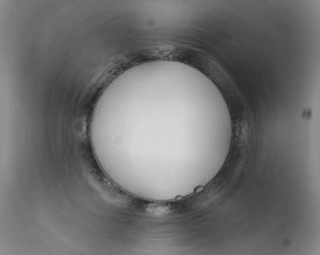 X0000112430602200909041438