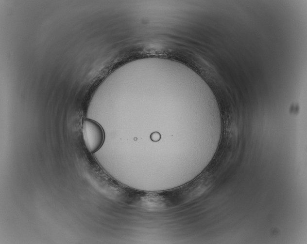 X0000112430603200909041438