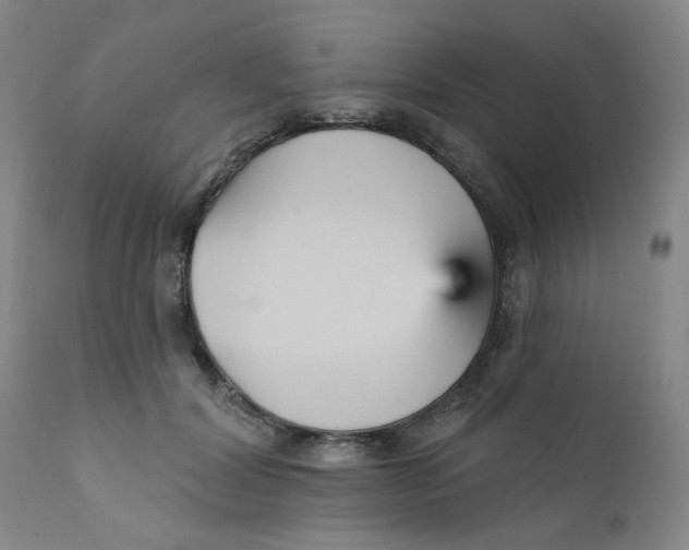 X0000112430604200909041438