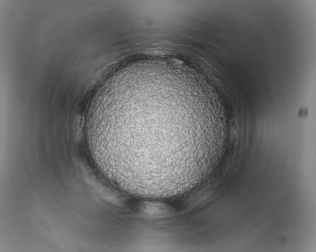 X0000112430605200909041438