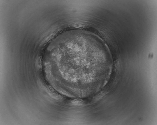 X0000112430606200909041438