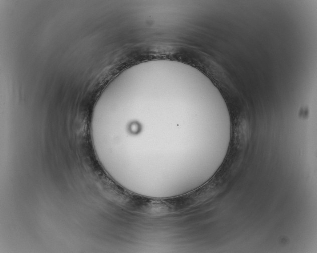 X0000112430608200909041438